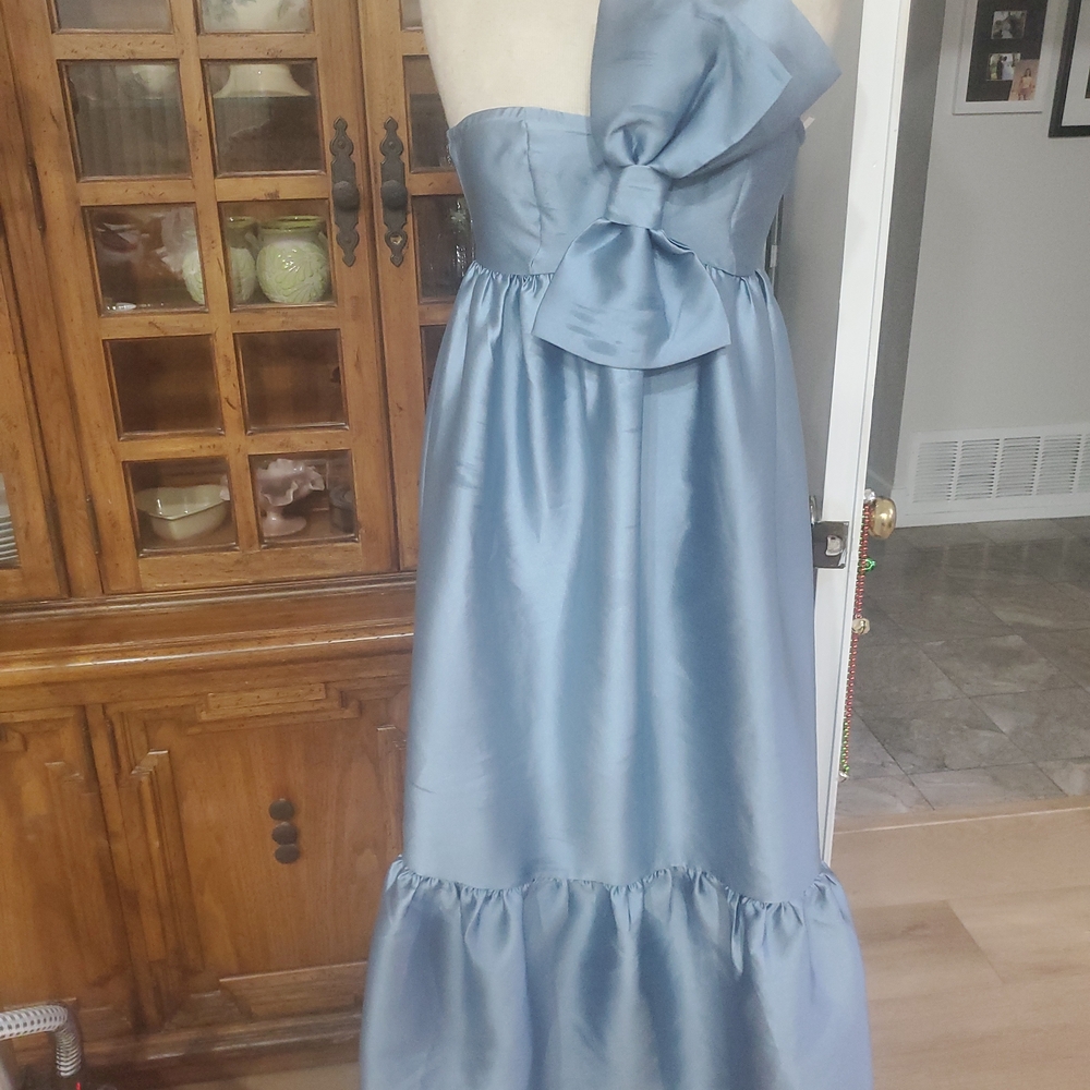 Petal & Pup Blue Maxi Dress - Picture 5 of 10